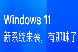 Windows 11 v22621.290 正式版ISO镜像下载